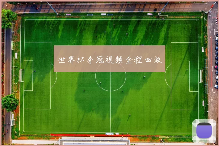 世界杯夺冠视频全程回放