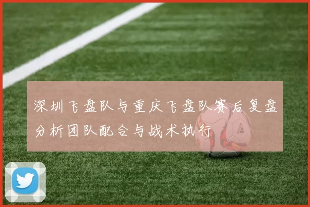 深圳飞盘队与重庆飞盘队赛后复盘分析团队配合与战术执行