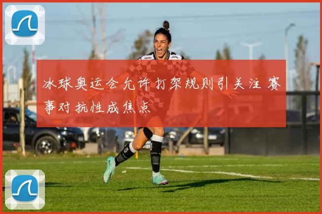 冰球奥运会允许打架规则引关注 赛事对抗性成焦点