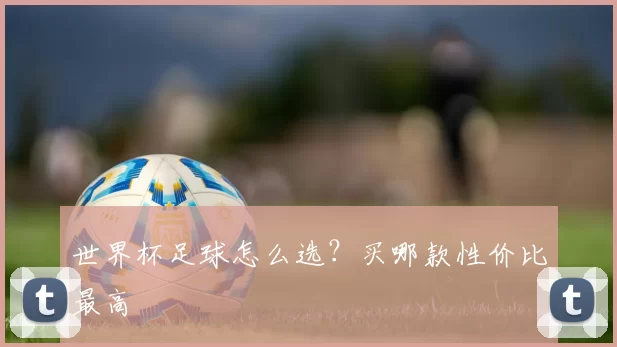 世界杯足球怎么选?买哪款性价比最高