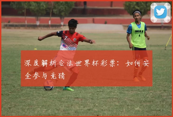 深度解析合法世界杯彩票:如何安全参与竞猜
