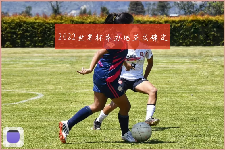 2022世界杯举办地正式确定
