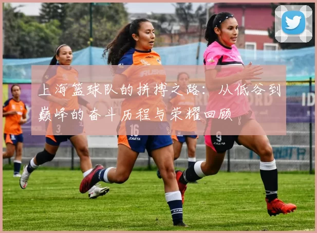 上海篮球队的拼搏之路:从低谷到巅峰的奋斗历程与荣耀回顾