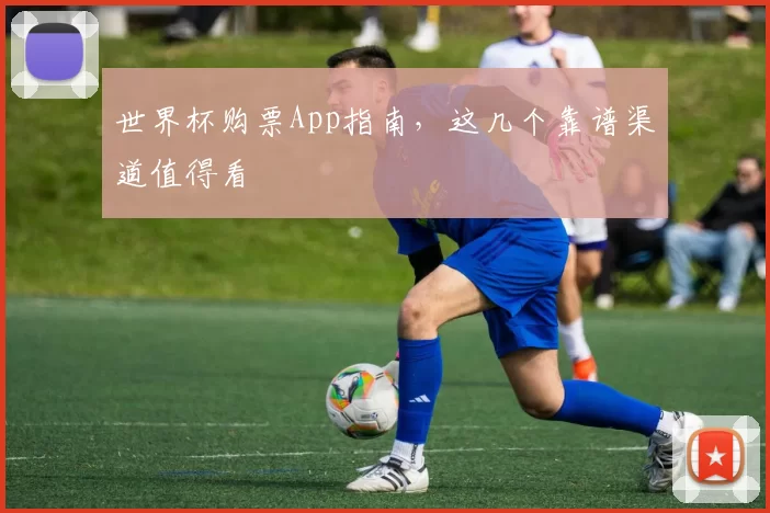世界杯购票App指南,这几个靠谱渠道值得看