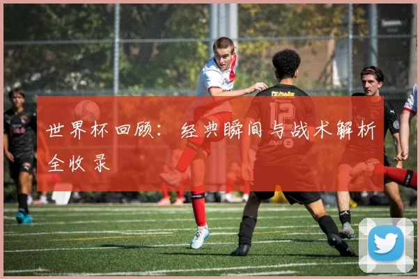 世界杯回顾:经典瞬间与战术解析全收录