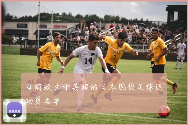 目前效力于英超的日本现役足球运动员名单