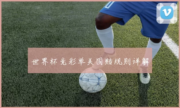 世界杯竞彩单关固赔规则详解