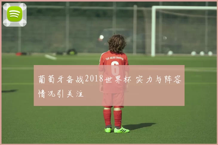 葡萄牙备战2018世界杯 实力与阵容情况引关注