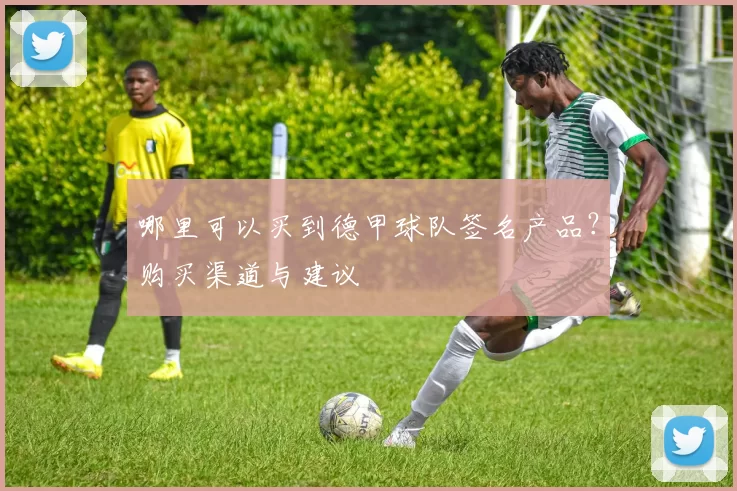 哪里可以买到德甲球队签名产品？购买渠道与建议