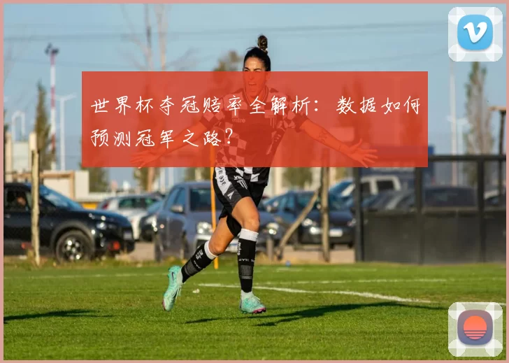 世界杯夺冠赔率全解析：数据如何预测冠军之路？